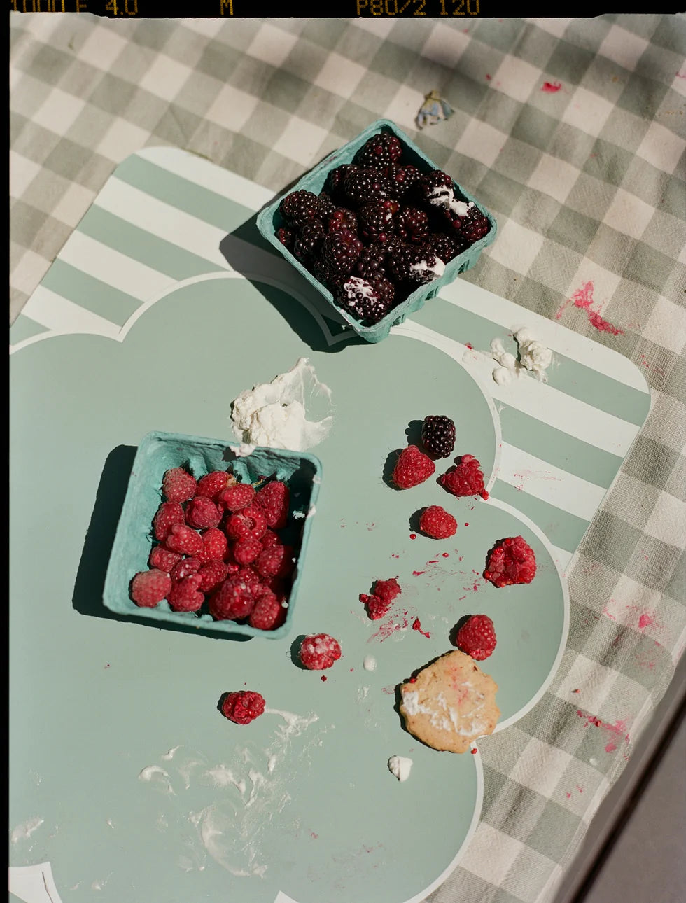 Sally Splash Placemats