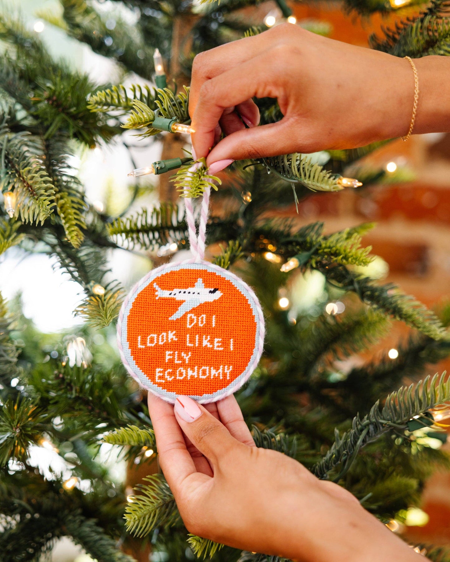 Needlepoint Ornament - Fly Economy